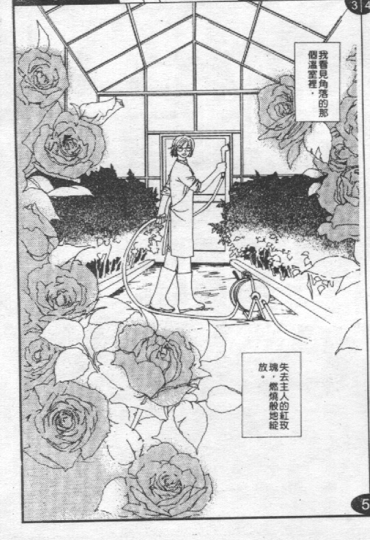 蔷薇姬韩漫全集-VOL1无删减无遮挡章节图片 