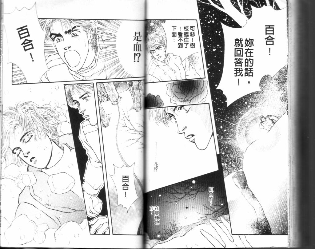 蔷薇之恋韩漫全集-第09卷无删减无遮挡章节图片 