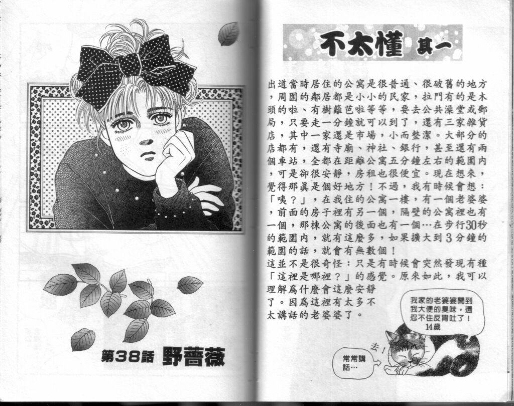 蔷薇之恋韩漫全集-第10卷无删减无遮挡章节图片 