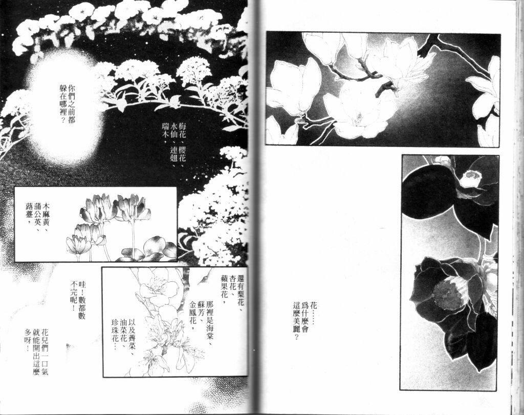蔷薇之恋韩漫全集-第12卷无删减无遮挡章节图片 