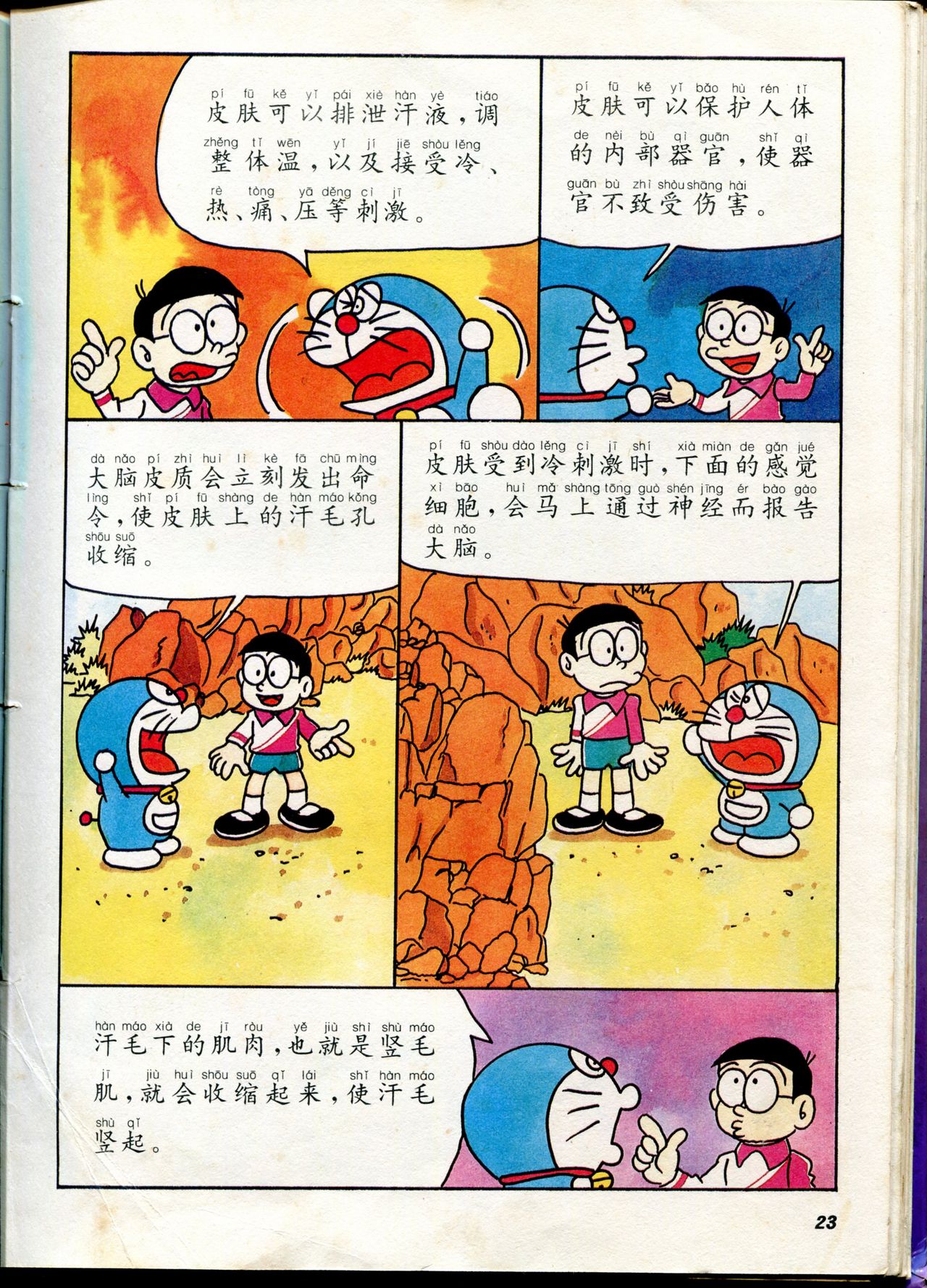 小叮当科学趣味小百科韩漫全集-自然小百科无删减无遮挡章节图片 