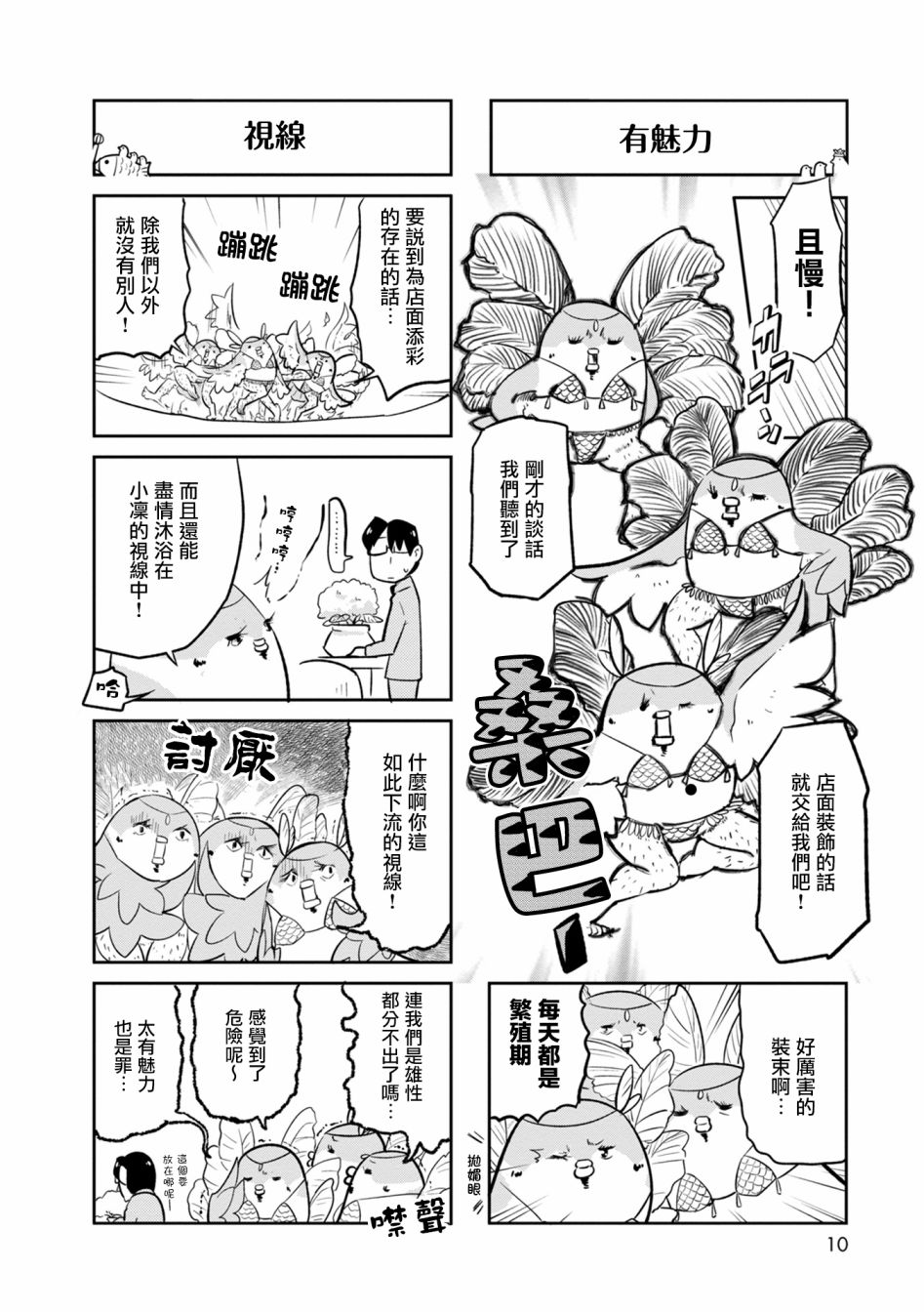 鸟娘咖啡韩漫全集-第08话无删减无遮挡章节图片 