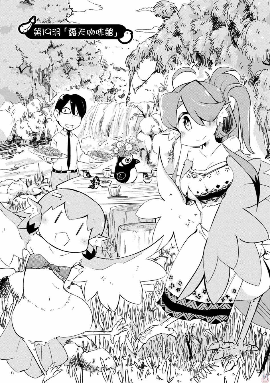 鸟娘咖啡韩漫全集-第19话无删减无遮挡章节图片 