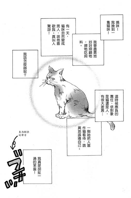 迷路猫咪的饲养方法韩漫全集-全一卷无删减无遮挡章节图片 