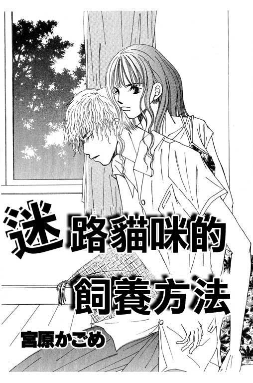 迷路猫咪的饲养方法韩漫全集-全一卷无删减无遮挡章节图片 