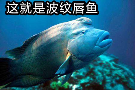 不眠之夜韩漫全集-短篇无删减无遮挡章节图片 