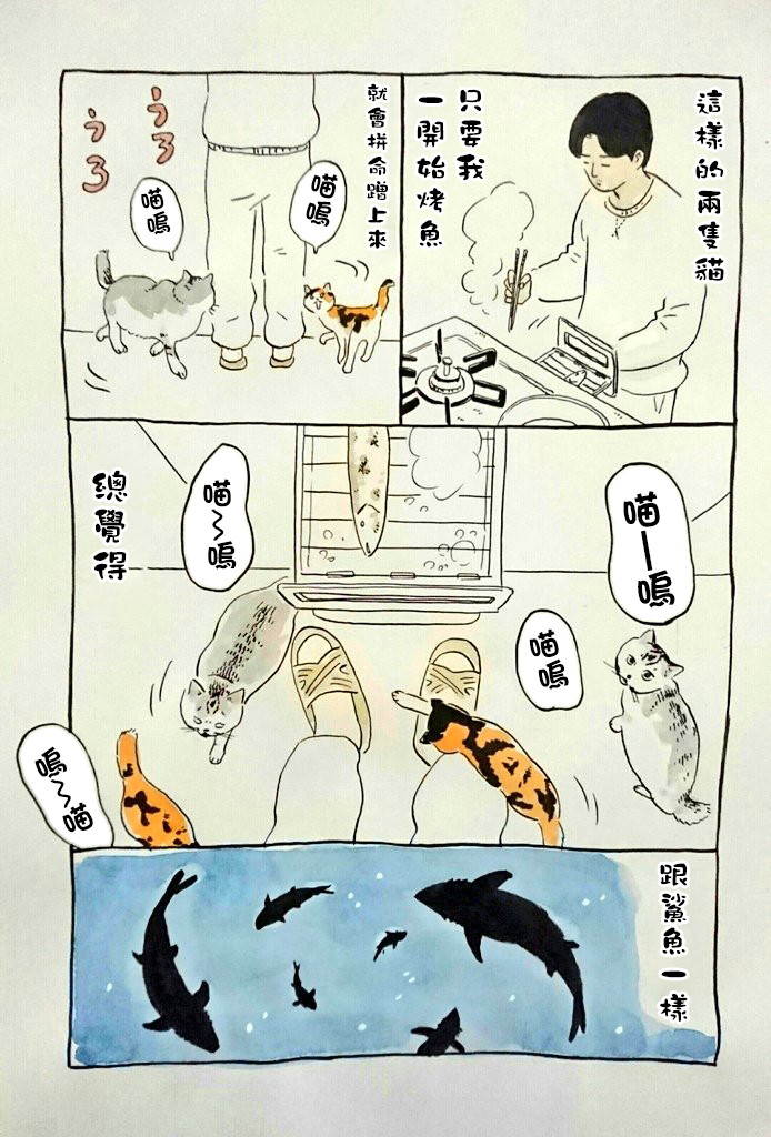 我曾经巨讨厌猫来的韩漫全集-短篇无删减无遮挡章节图片 
