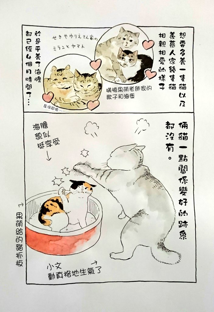 我曾经巨讨厌猫来的韩漫全集-短篇无删减无遮挡章节图片 