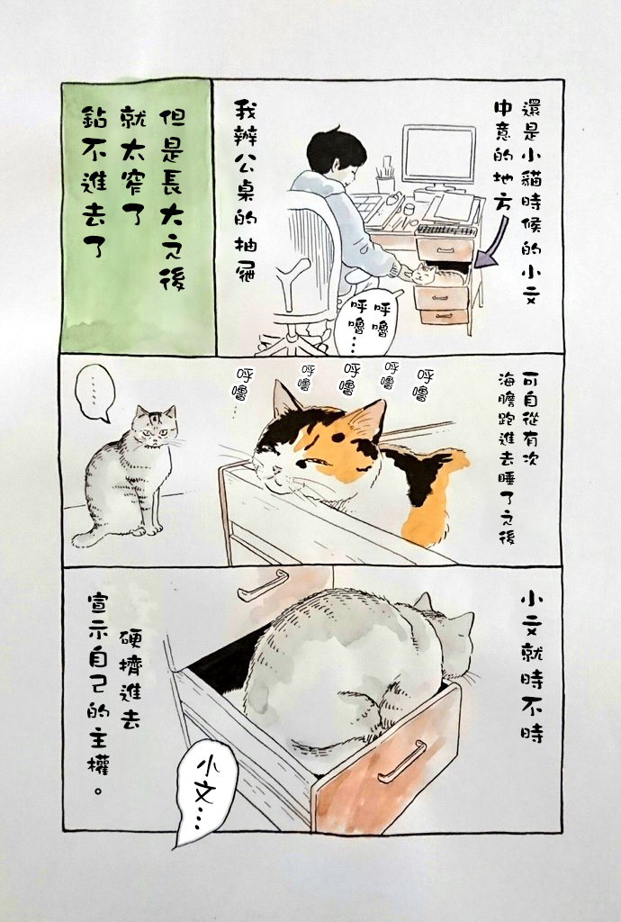 我曾经巨讨厌猫来的韩漫全集-短篇无删减无遮挡章节图片 