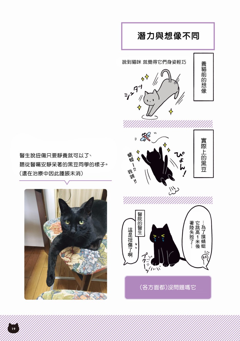 与猫咪黑豆的同居生活韩漫全集-第01话无删减无遮挡章节图片 