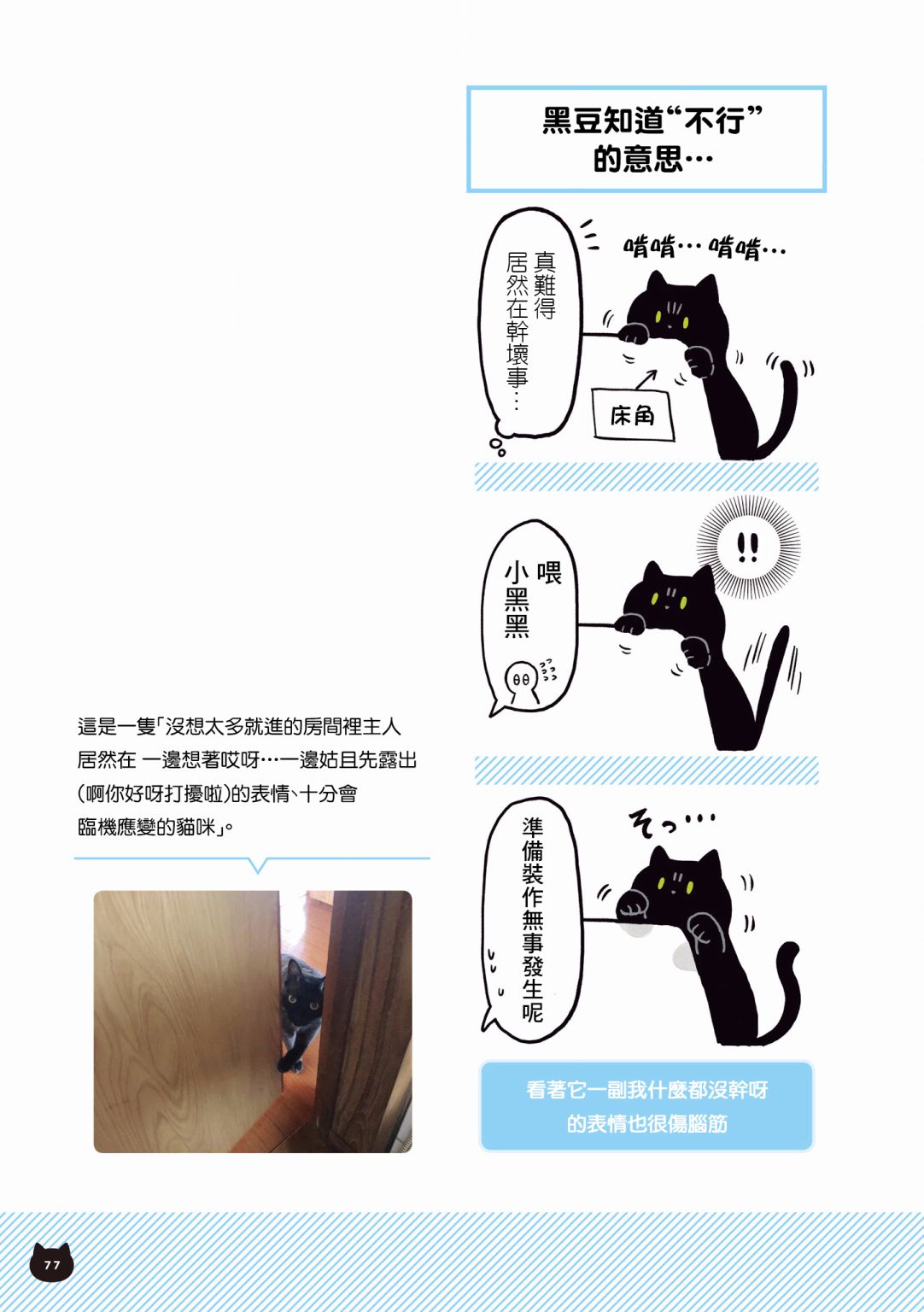 与猫咪黑豆的同居生活韩漫全集-第03话无删减无遮挡章节图片 