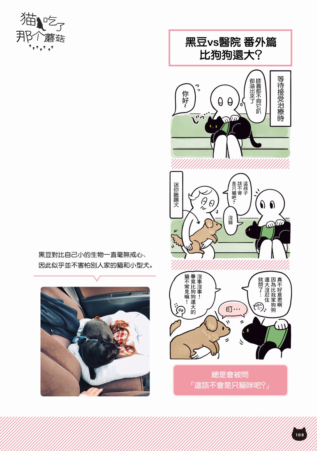 与猫咪黑豆的同居生活韩漫全集-第04话无删减无遮挡章节图片 