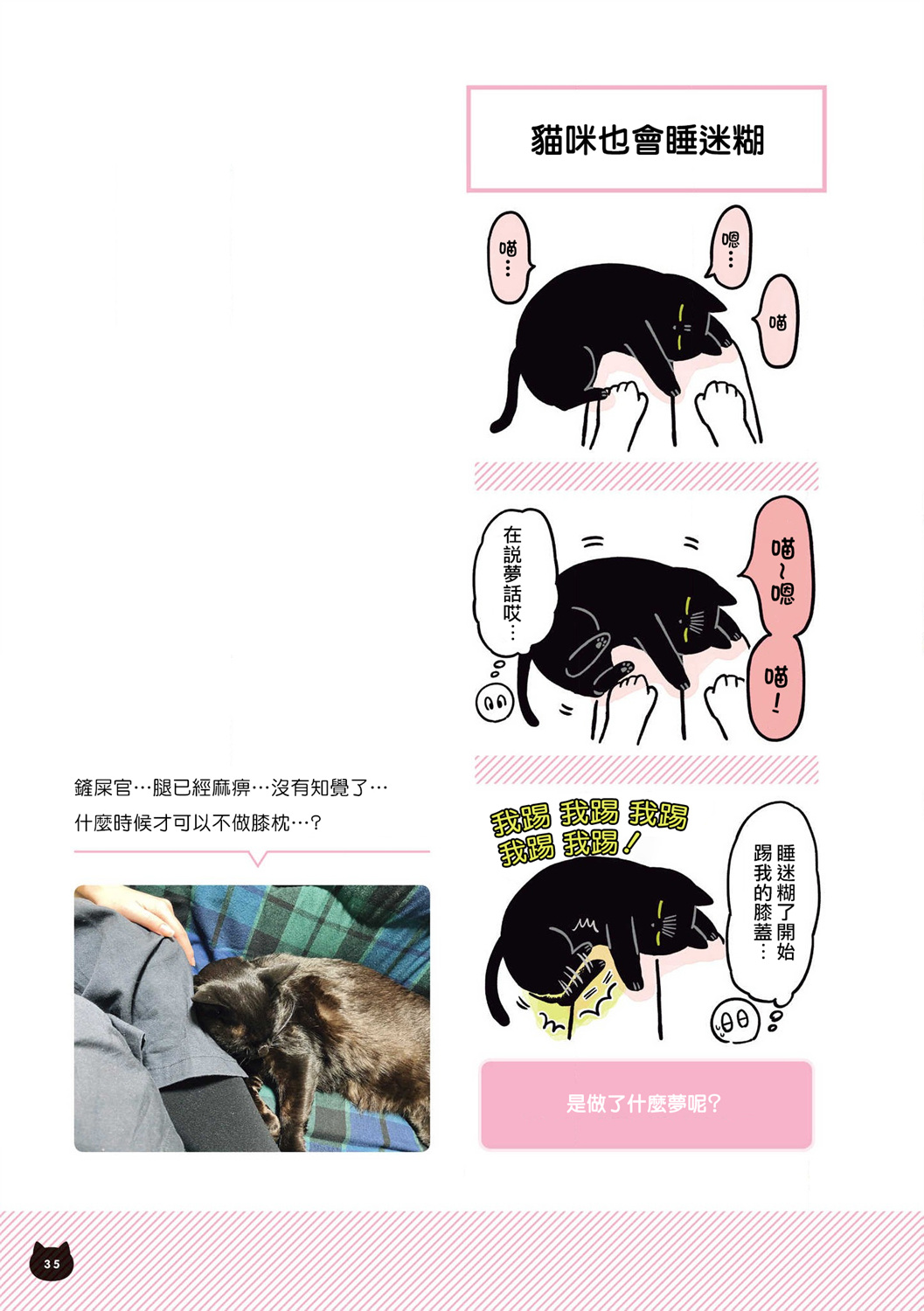与猫咪黑豆的同居生活韩漫全集-第06话无删减无遮挡章节图片 