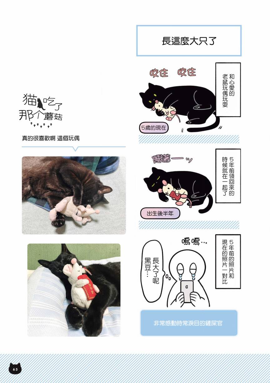 与猫咪黑豆的同居生活韩漫全集-第07话无删减无遮挡章节图片 