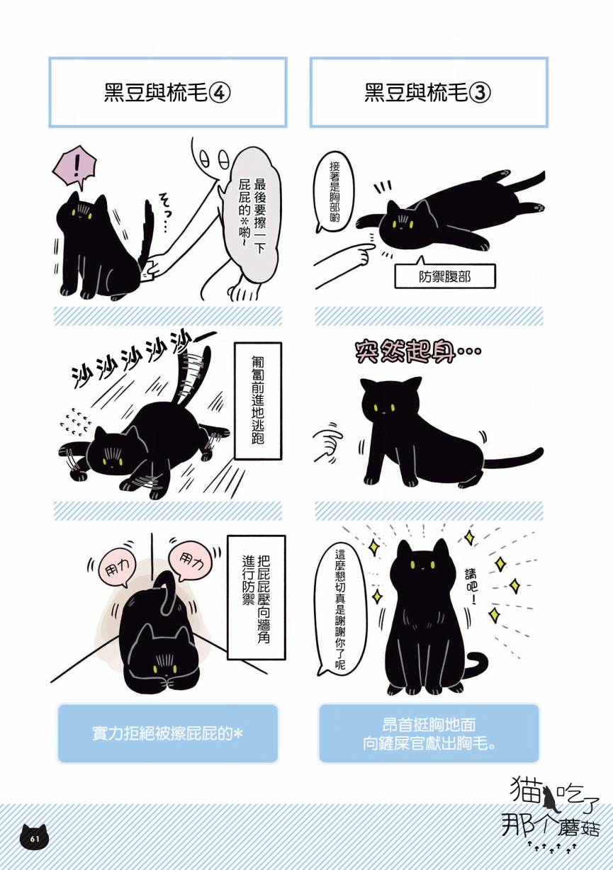 与猫咪黑豆的同居生活韩漫全集-第07话无删减无遮挡章节图片 
