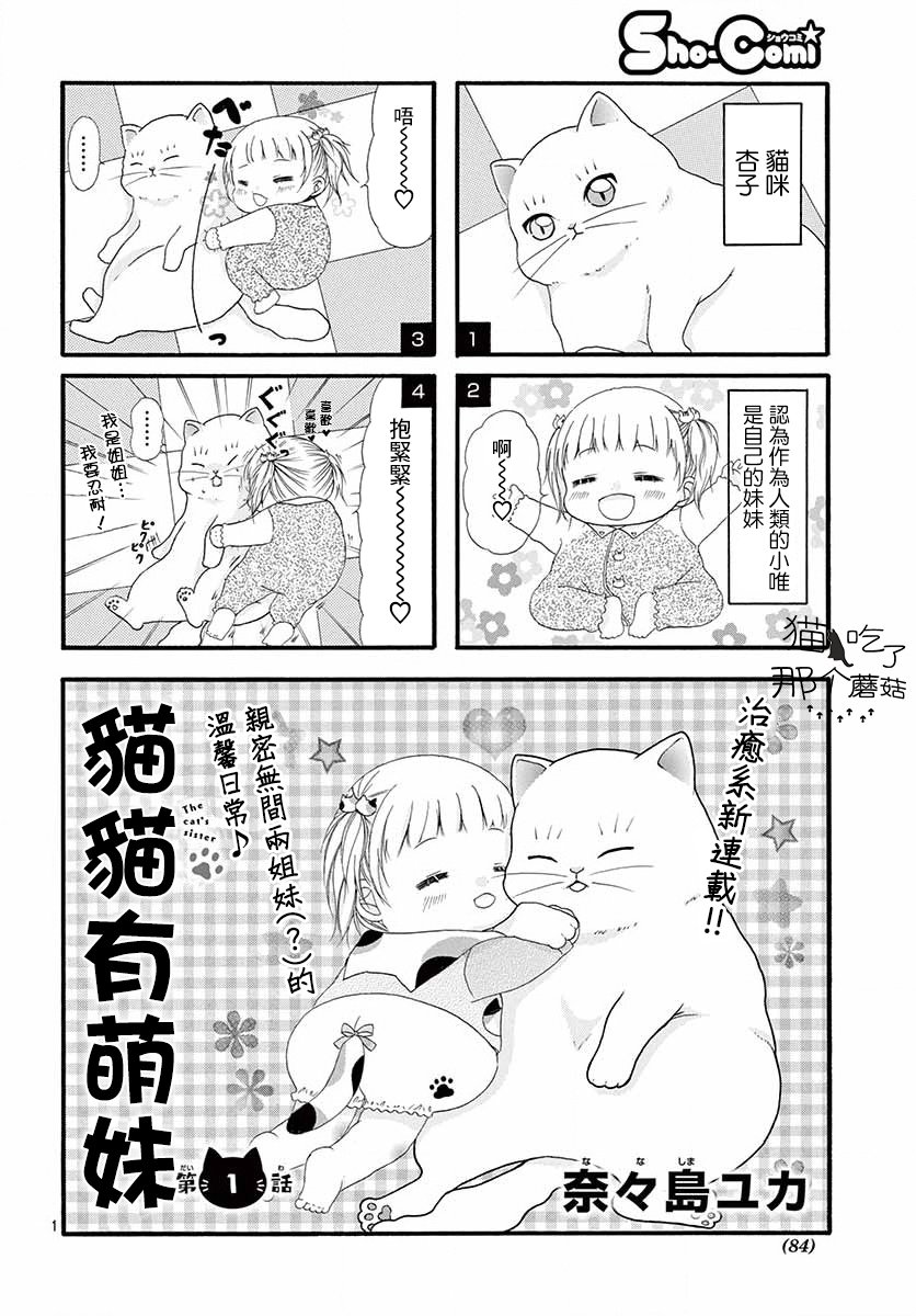 猫猫有萌妹韩漫全集-第01话无删减无遮挡章节图片 