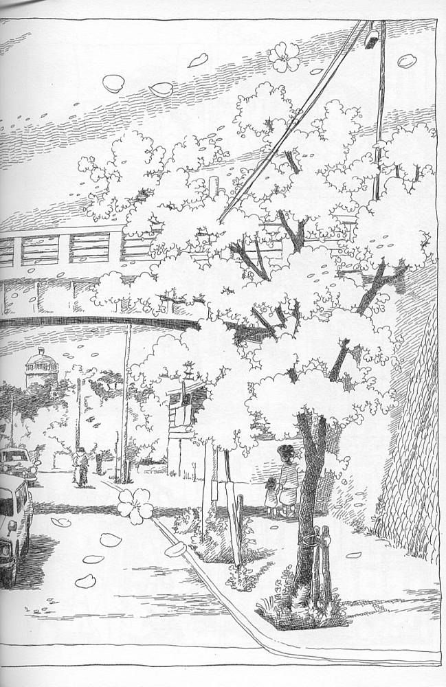 夕凪之街樱之国韩漫全集-VOL01无删减无遮挡章节图片 