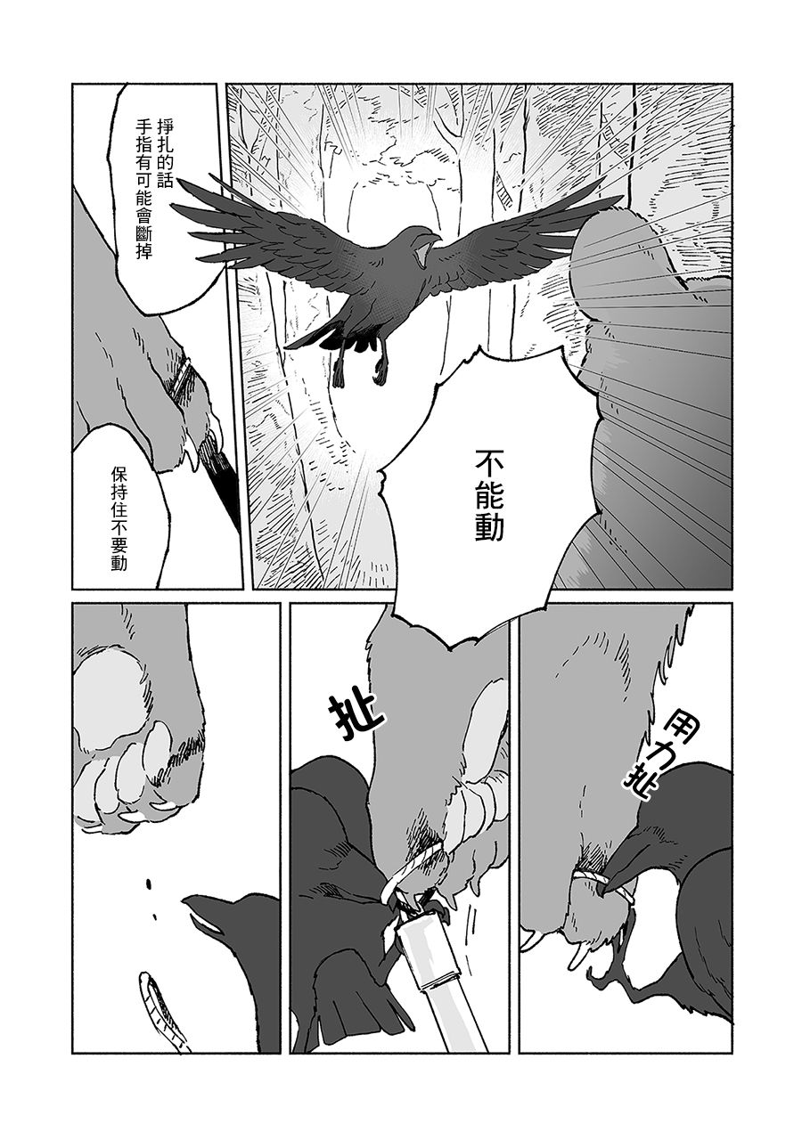 熊与乌鸦韩漫全集-第05话无删减无遮挡章节图片 