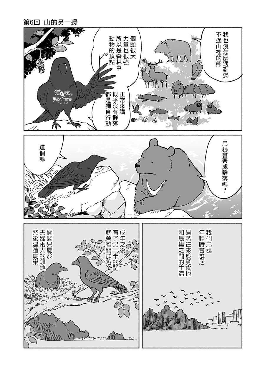 熊与乌鸦韩漫全集-第06话无删减无遮挡章节图片 