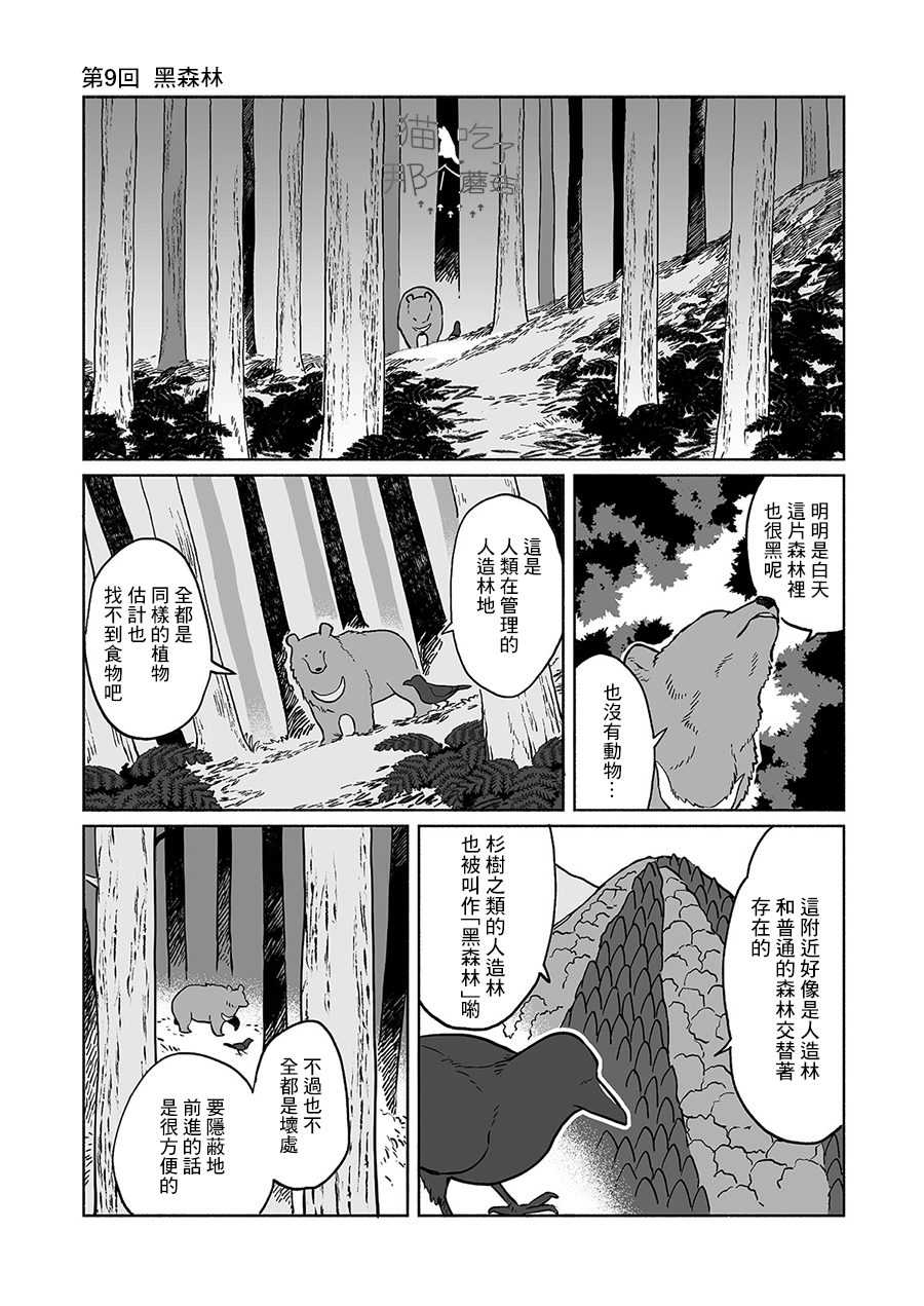 熊与乌鸦韩漫全集-第09话无删减无遮挡章节图片 