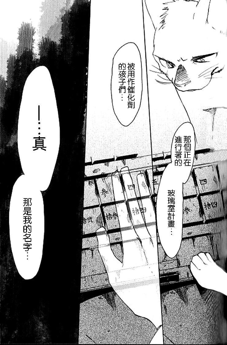 Fragile 再见 月之废墟韩漫全集-第04话无删减无遮挡章节图片 