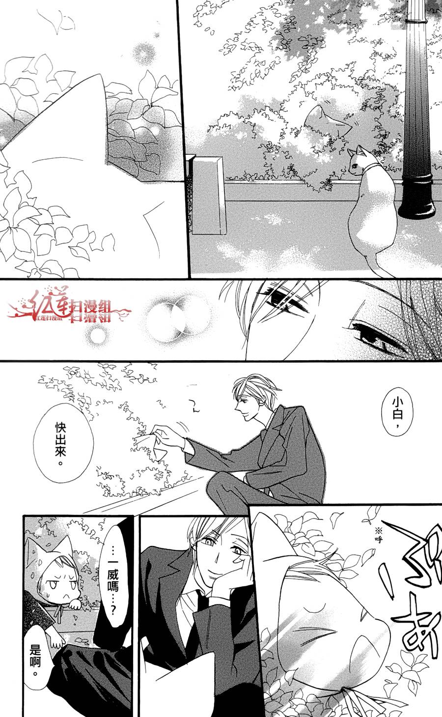 猫街之子韩漫全集-全一卷无删减无遮挡章节图片 