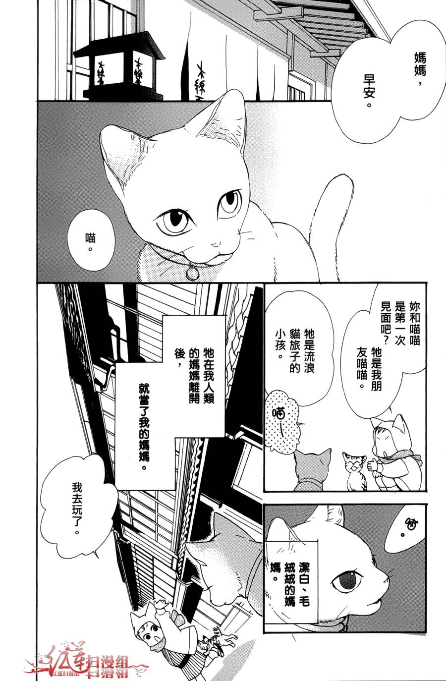 猫街之子韩漫全集-全一卷无删减无遮挡章节图片 