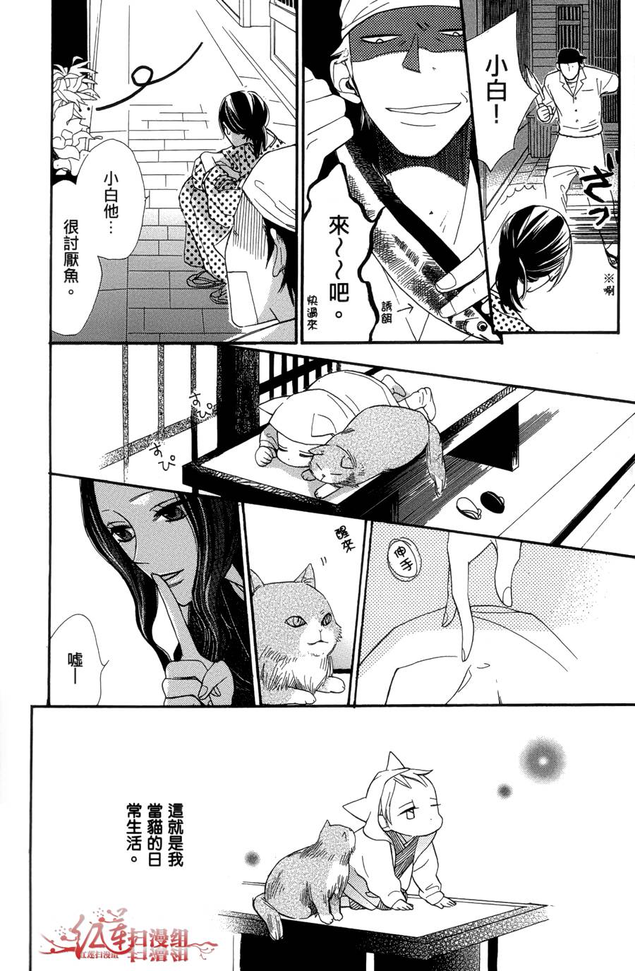 猫街之子韩漫全集-全一卷无删减无遮挡章节图片 