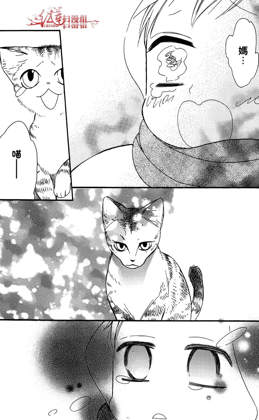 猫街之子韩漫全集-全一卷无删减无遮挡章节图片 
