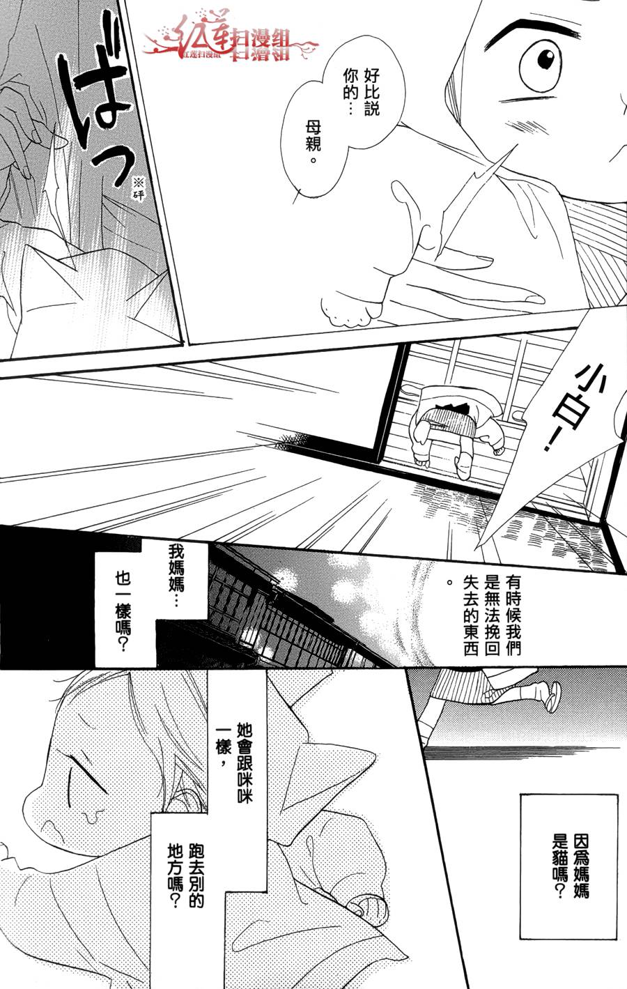猫街之子韩漫全集-全一卷无删减无遮挡章节图片 