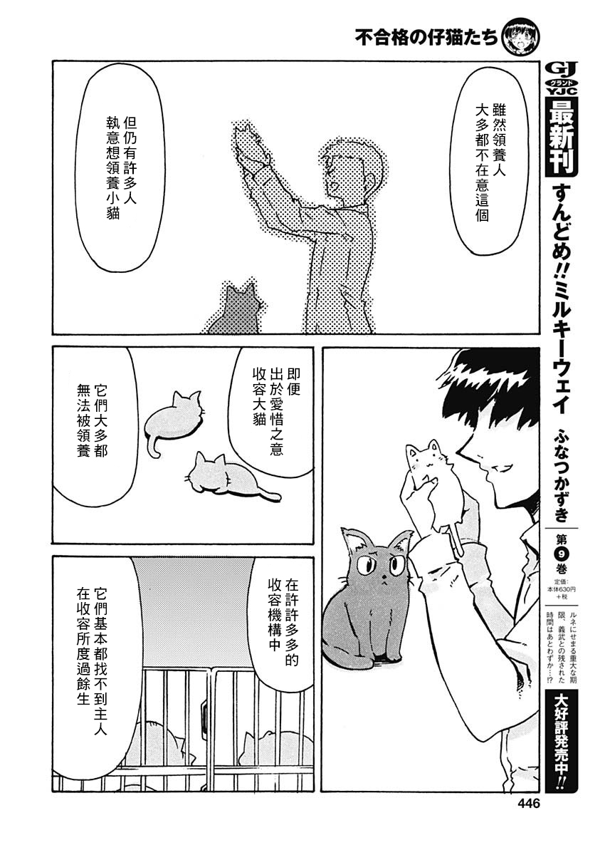 不合格的仔猫们韩漫全集-短篇无删减无遮挡章节图片 