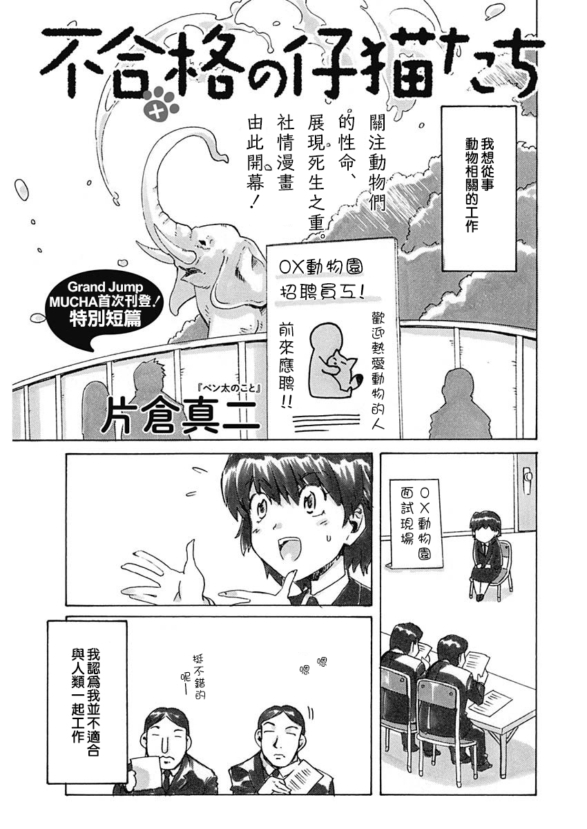 不合格的仔猫们韩漫全集-短篇无删减无遮挡章节图片 
