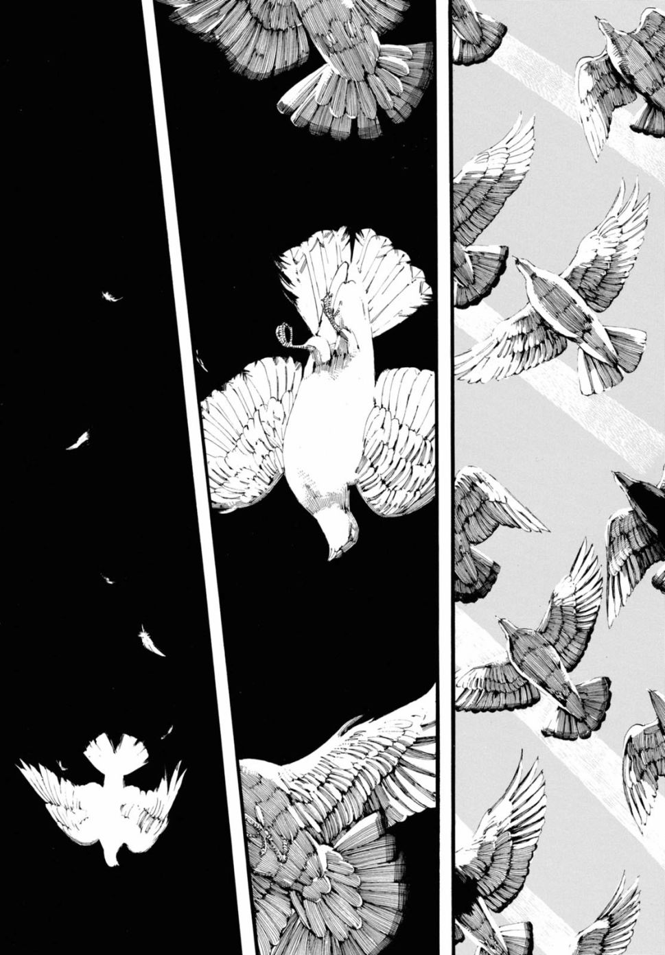 振翅 Ein Märchen韩漫全集-第09话无删减无遮挡章节图片 