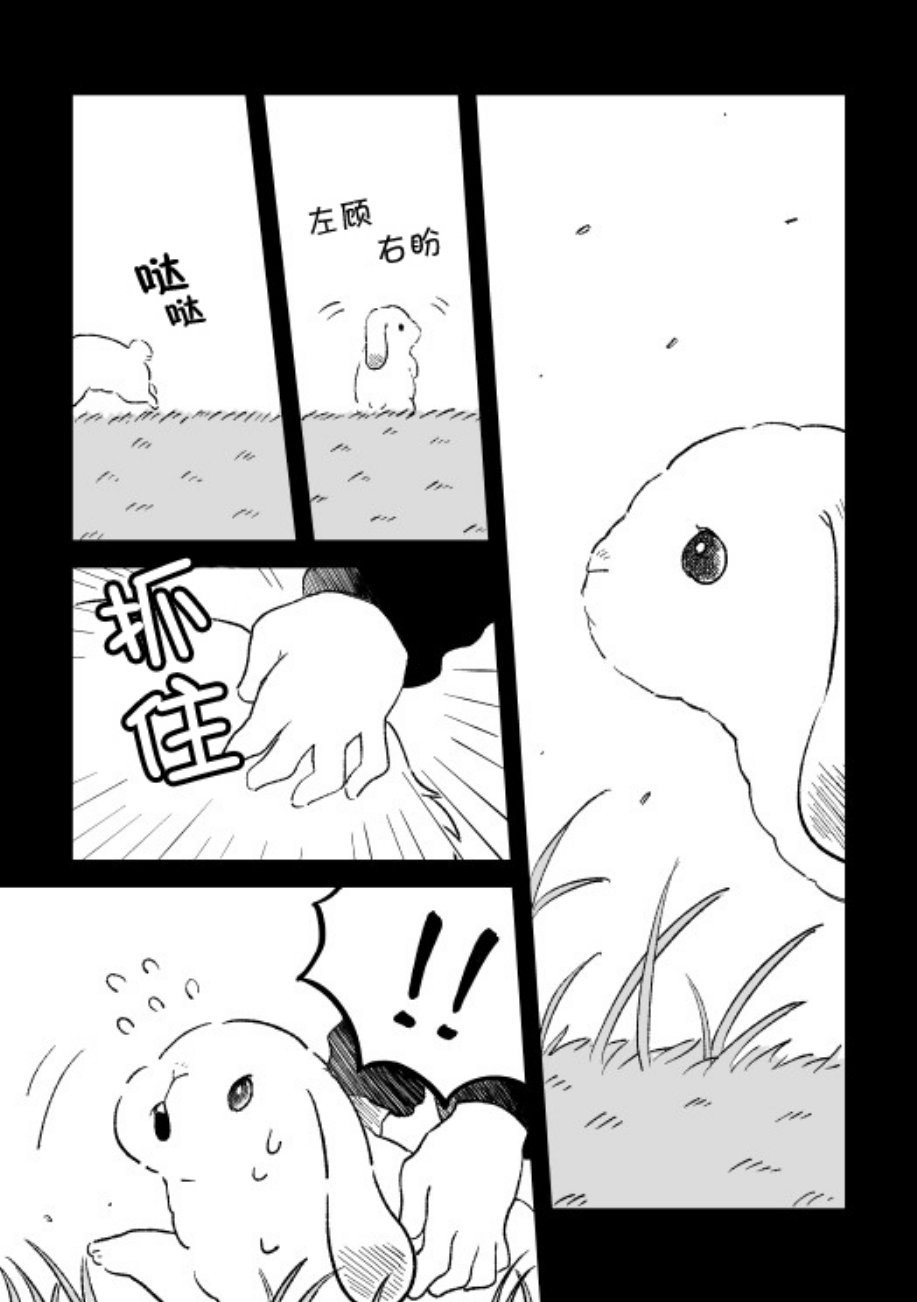 这里是兔兔王国韩漫全集-第01话无删减无遮挡章节图片 