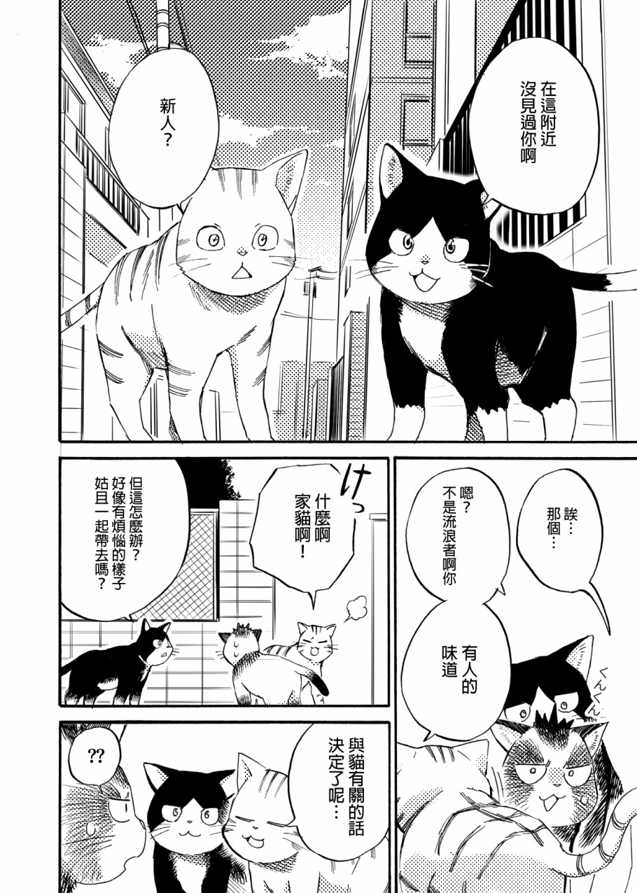 狸猫咬咬韩漫全集-第04话无删减无遮挡章节图片 