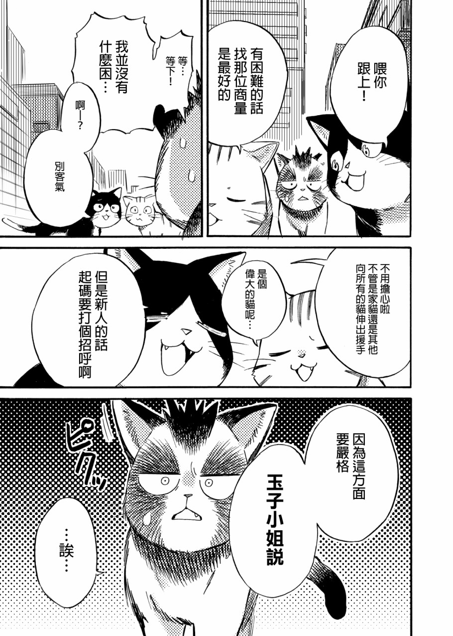 狸猫咬咬韩漫全集-第04话无删减无遮挡章节图片 