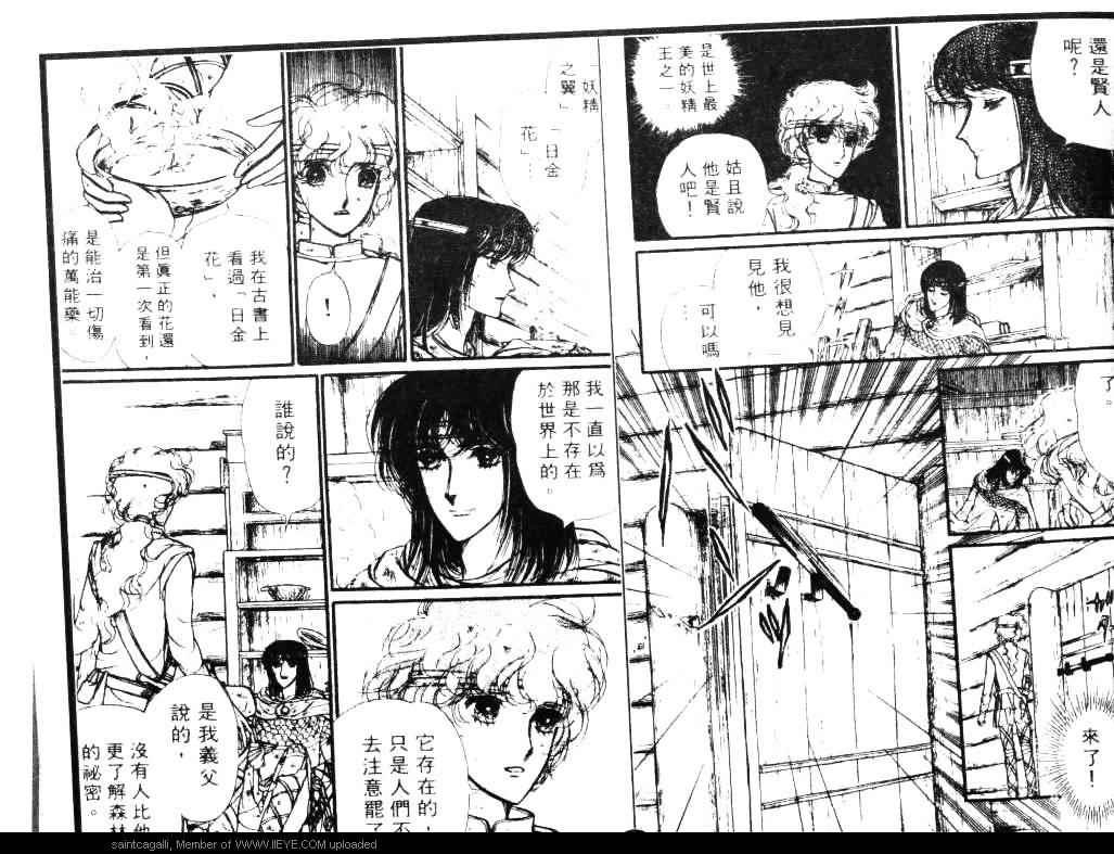 妖精国骑士韩漫全集-第04卷无删减无遮挡章节图片 