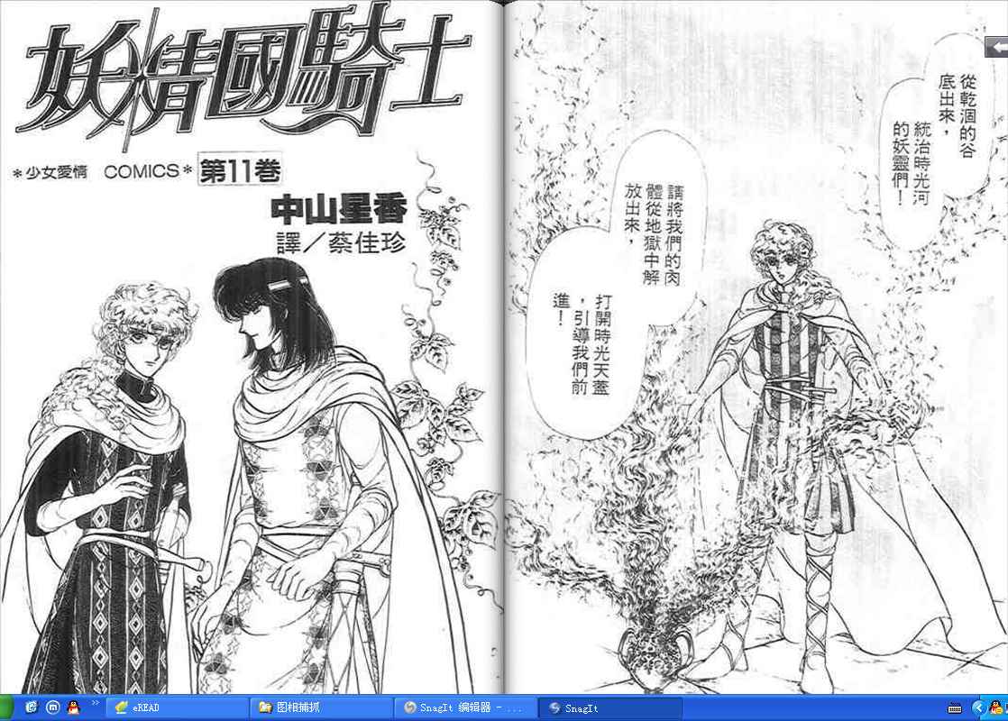 妖精国骑士韩漫全集-第11卷无删减无遮挡章节图片 