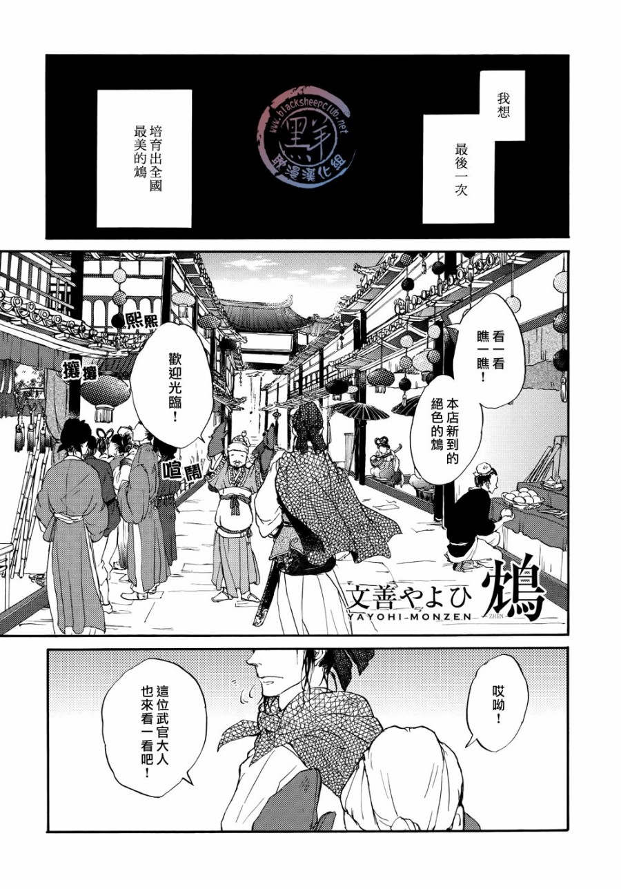 鸩-嗜毒之鸟-韩漫全集-第01话无删减无遮挡章节图片 