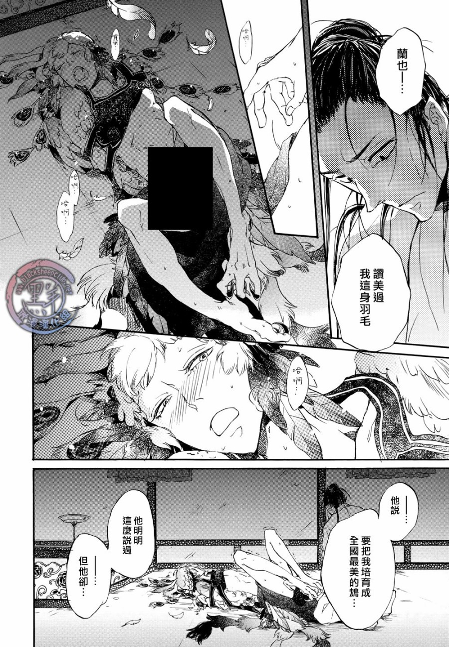 鸩-嗜毒之鸟-韩漫全集-第01话无删减无遮挡章节图片 