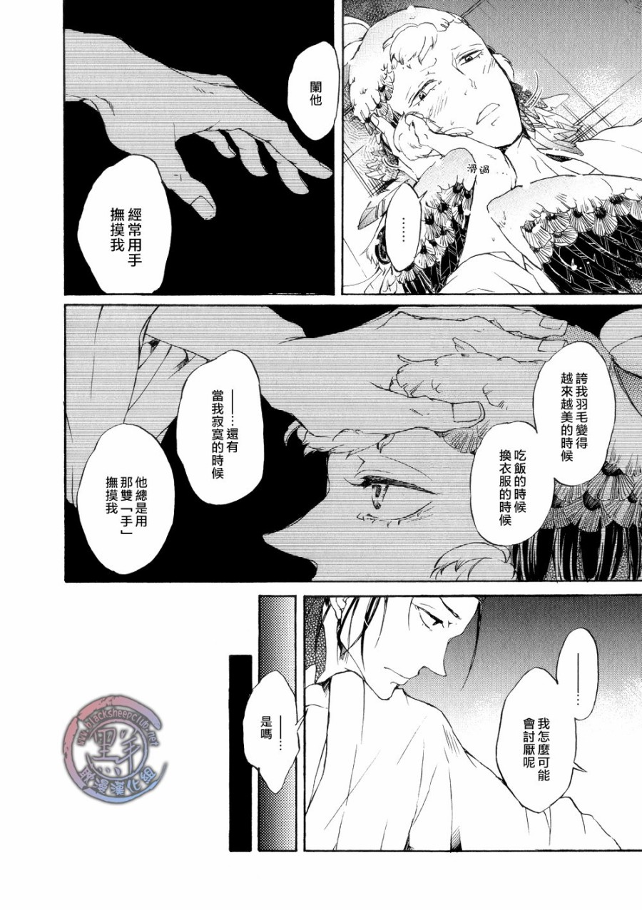 鸩-嗜毒之鸟-韩漫全集-第03话无删减无遮挡章节图片 