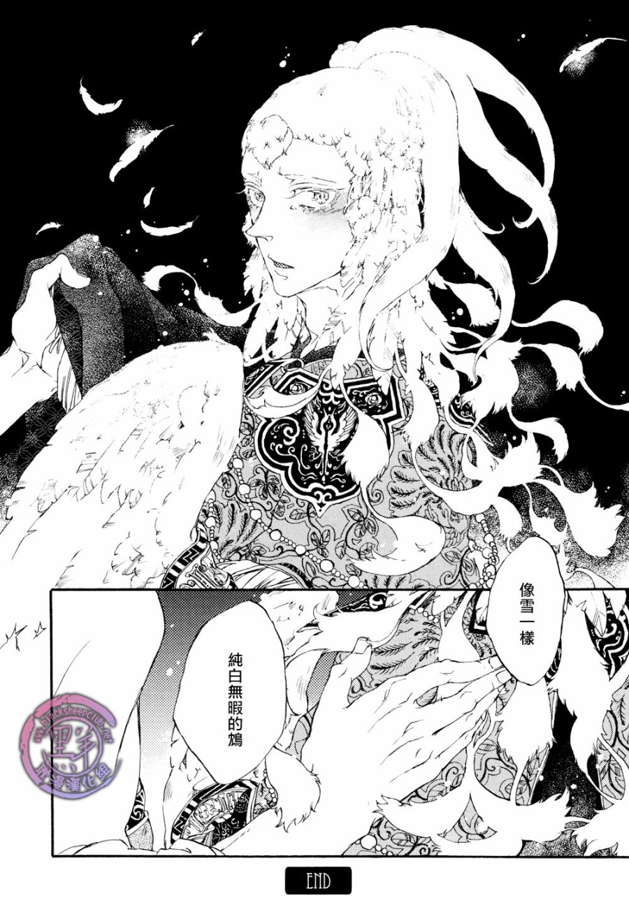 鸩-嗜毒之鸟-韩漫全集-第05话无删减无遮挡章节图片 