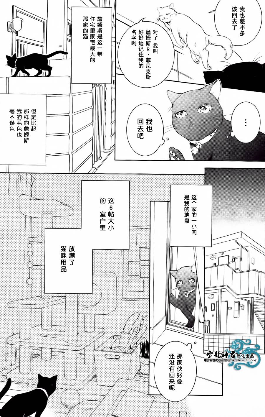 和黑猫的二人世界韩漫全集-短篇无删减无遮挡章节图片 