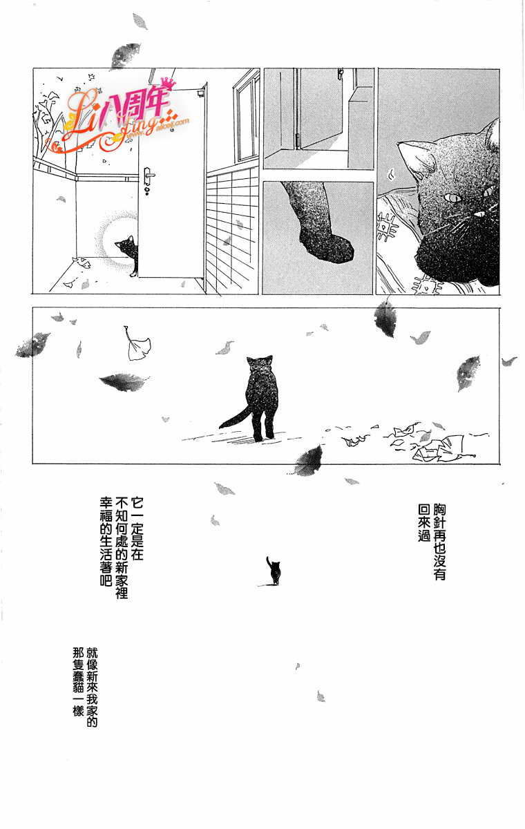 胸针韩漫全集-全一话无删减无遮挡章节图片 