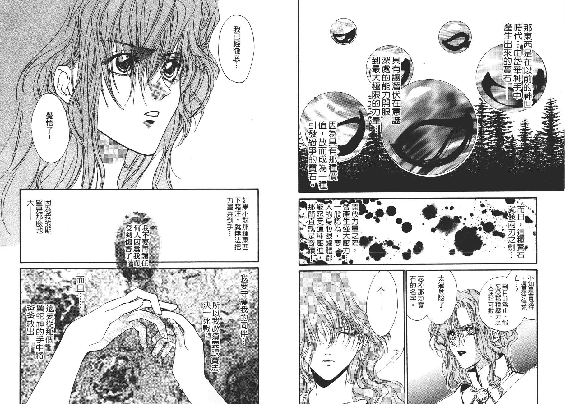 TEMPEST白色圣军韩漫全集-第04卷无删减无遮挡章节图片 