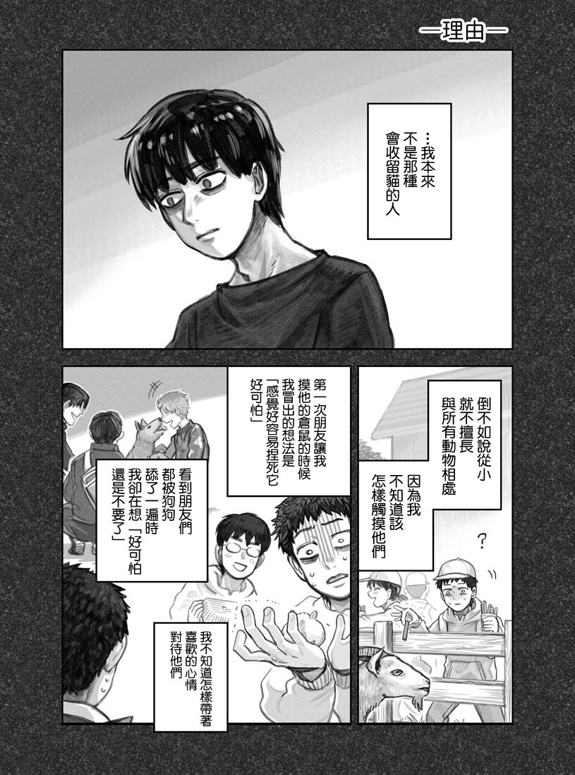 我捡了一只猫韩漫全集-第01话无删减无遮挡章节图片 