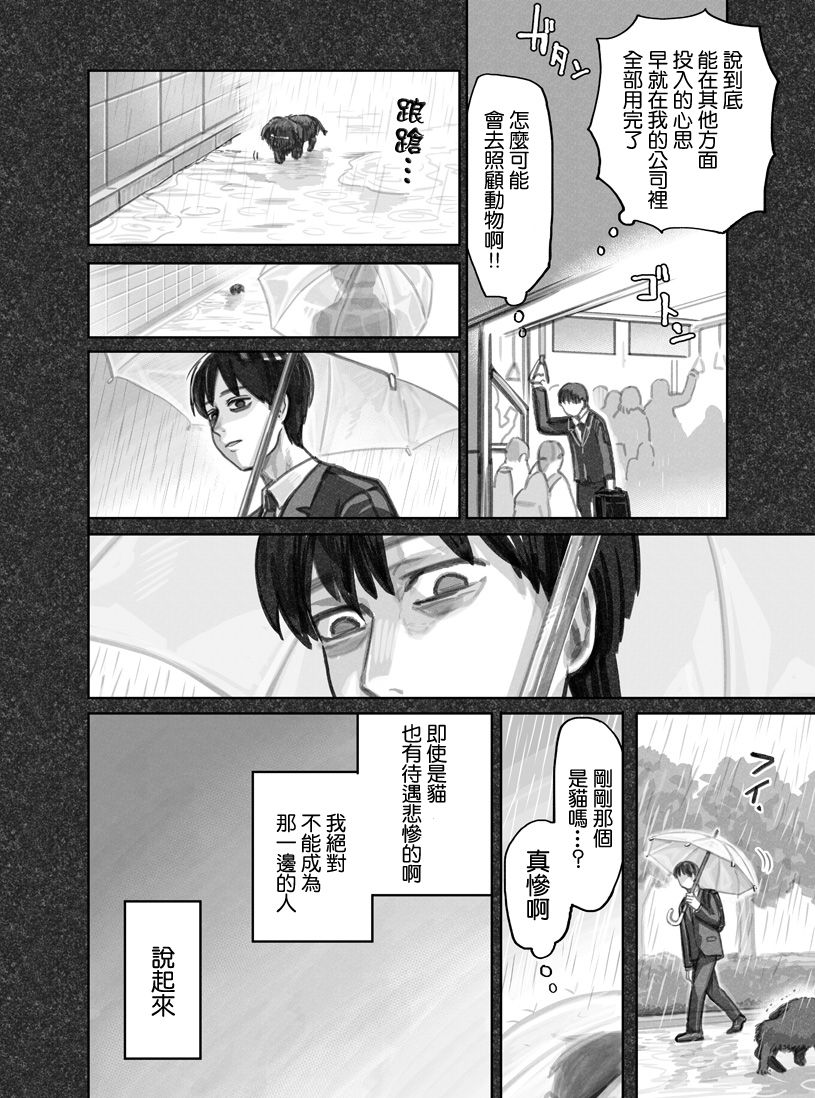 我捡了一只猫韩漫全集-第01话无删减无遮挡章节图片 