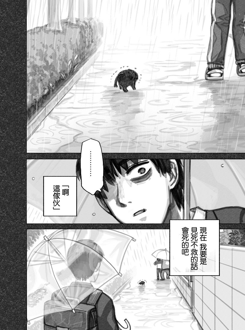 我捡了一只猫韩漫全集-第01话无删减无遮挡章节图片 