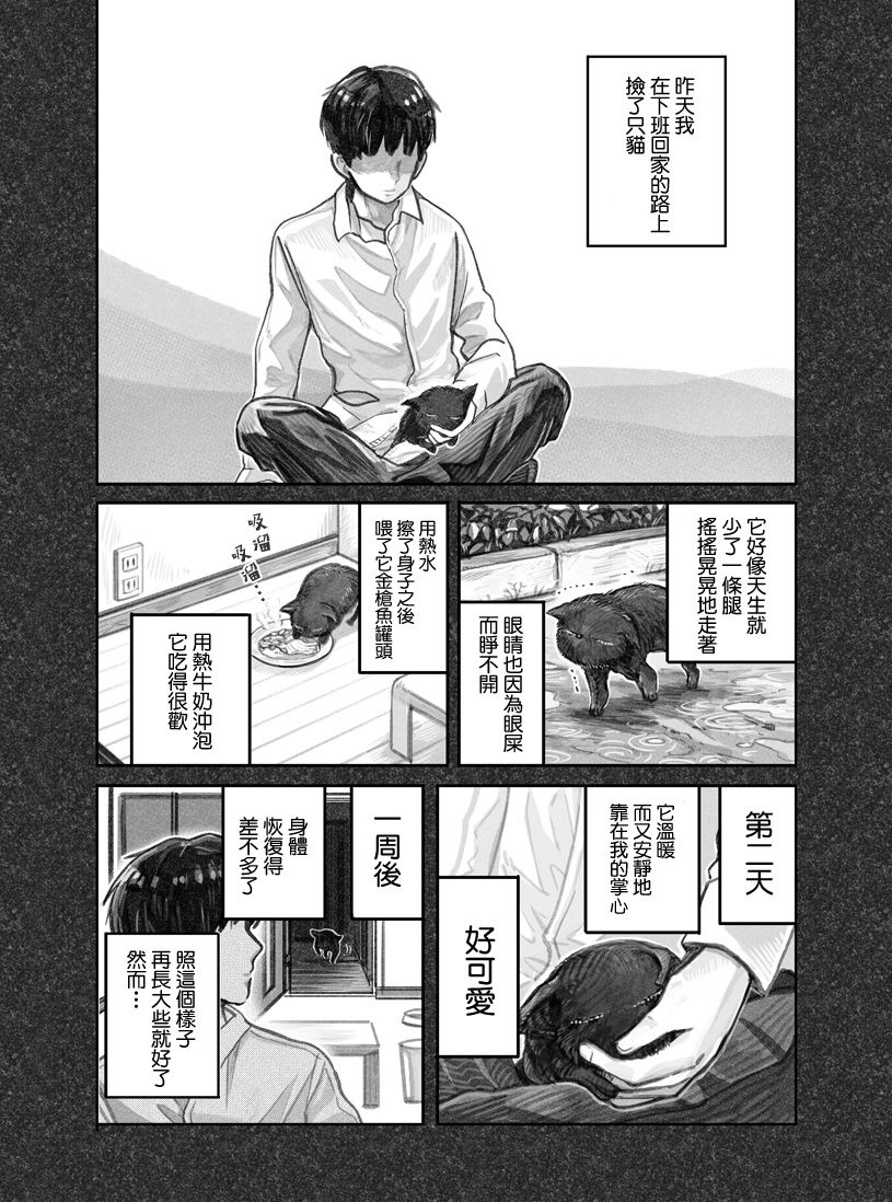 我捡了一只猫韩漫全集-第01话无删减无遮挡章节图片 