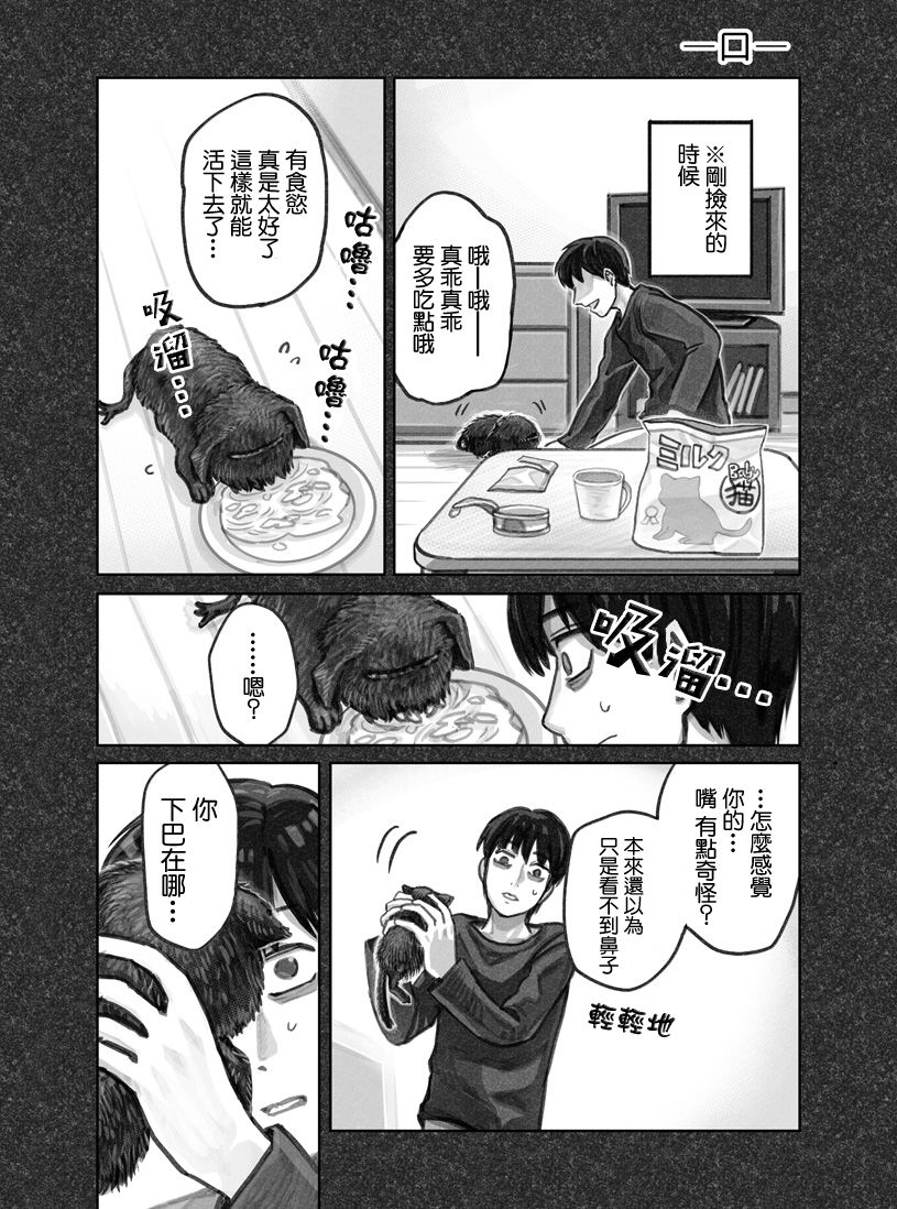 我捡了一只猫韩漫全集-第01话无删减无遮挡章节图片 